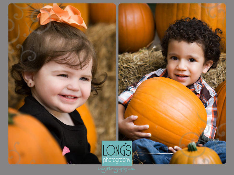 pumpkins5