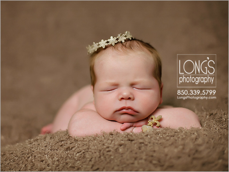 Tallahassee newborn baby pictures