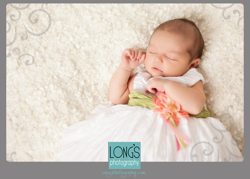 Newborn baby photography in Tallahassee