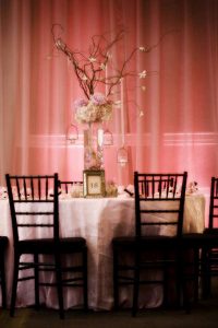 Wedding photography tallahassee