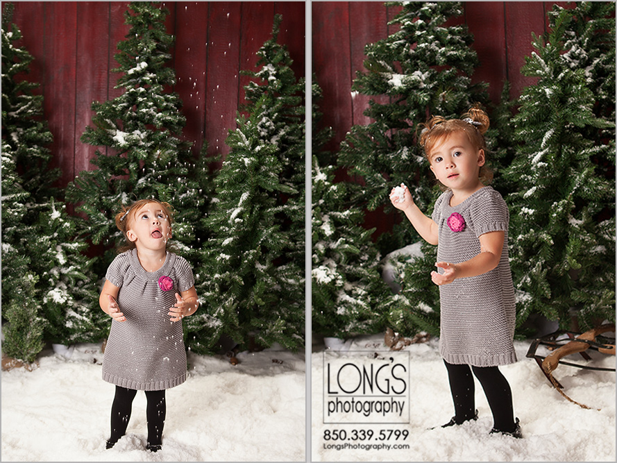 Best christmas portraits in tallahassee