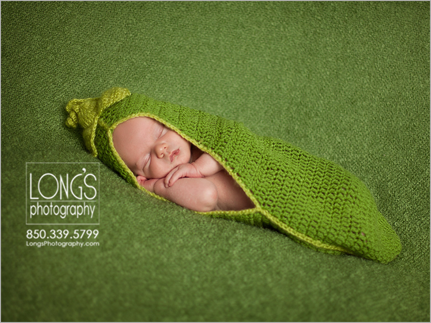 Newborn baby photos in Tallahassee