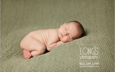 Trip Newborn Portraits