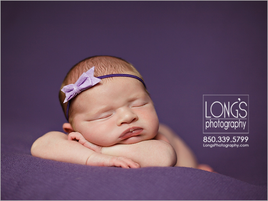 Tallahassee newborn baby photos