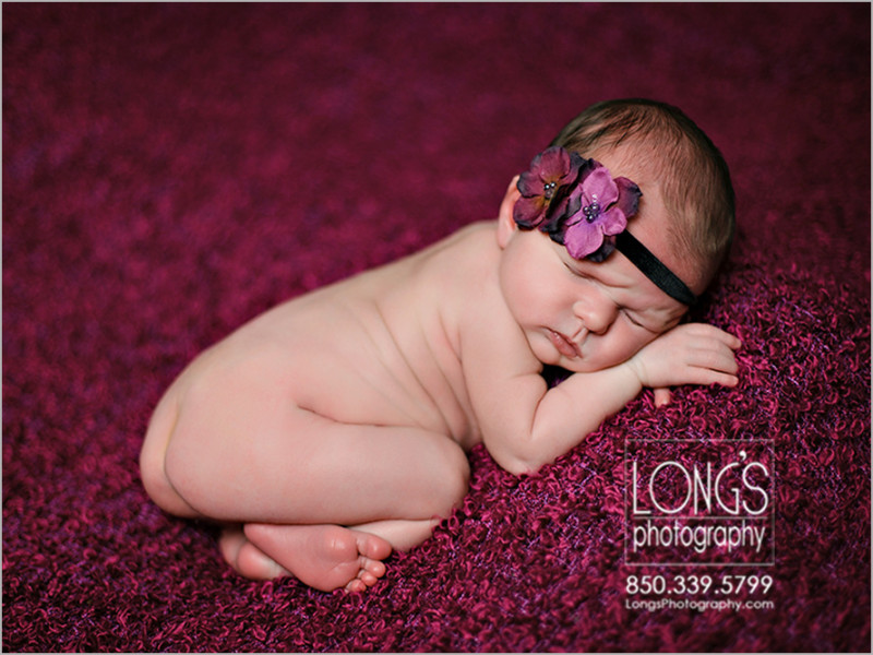 Tallahassee newborn baby photos