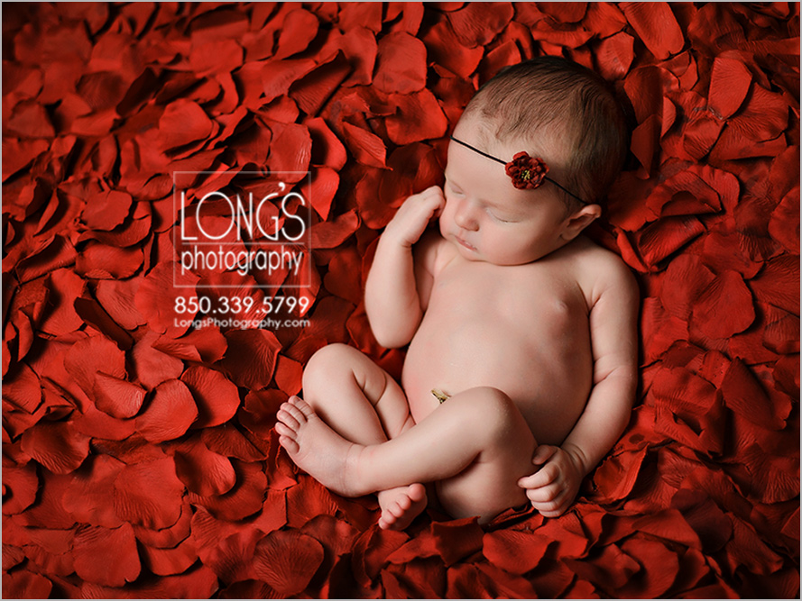 Tallahassee newborn baby photos