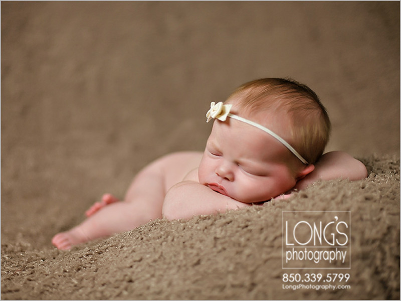 Tallahassee newborn baby pictures