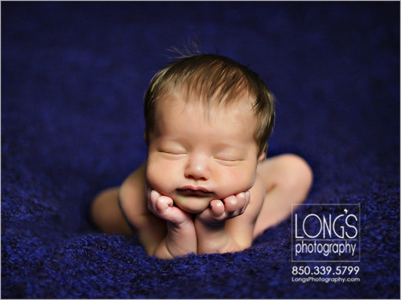 Newborn baby photographers in Tallahassee