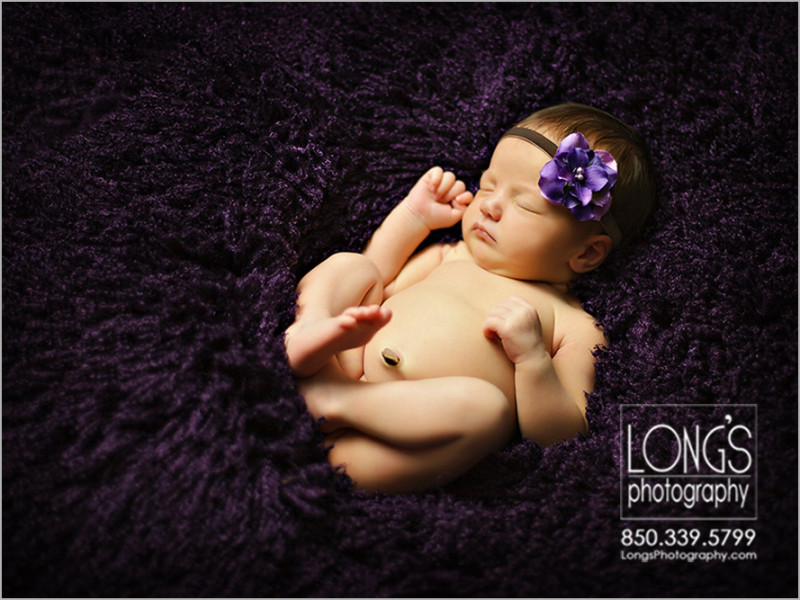 Newborn baby photographers in Tallahassee