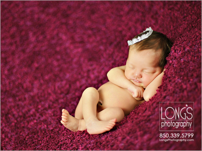 Newborn baby photographers in Tallahassee