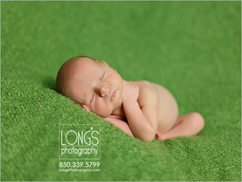 newborn baby photography tallahassee, fl