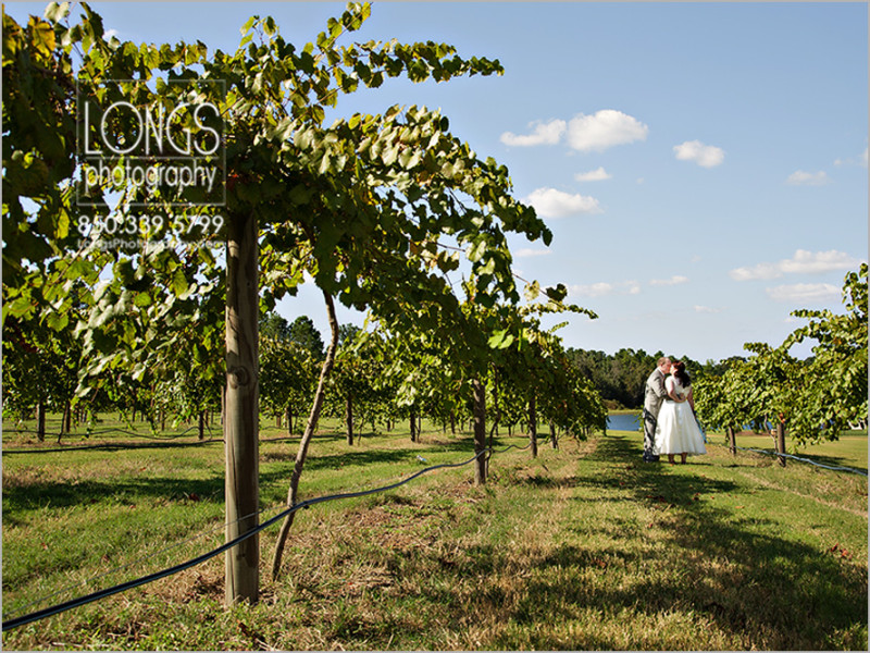 Gin Creek Moultrie Georgia Wedding Photos