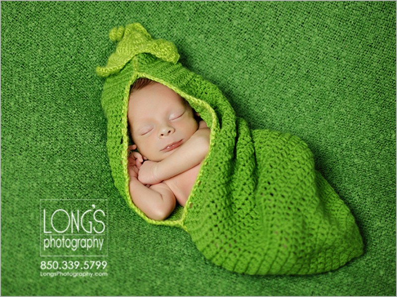 Tallahassee newborn baby photos