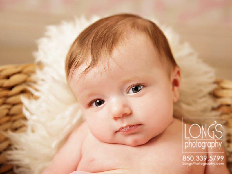 Tallahassee baby plan photography