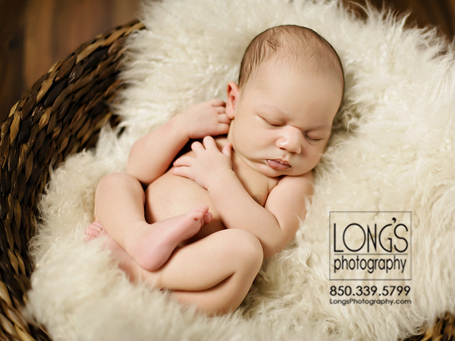 Tallahassee newborn baby photos