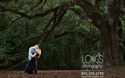 Lichgate Oak Mini-Sessions | Sunday, November 1st