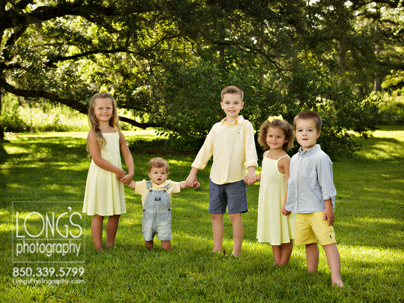 davis4